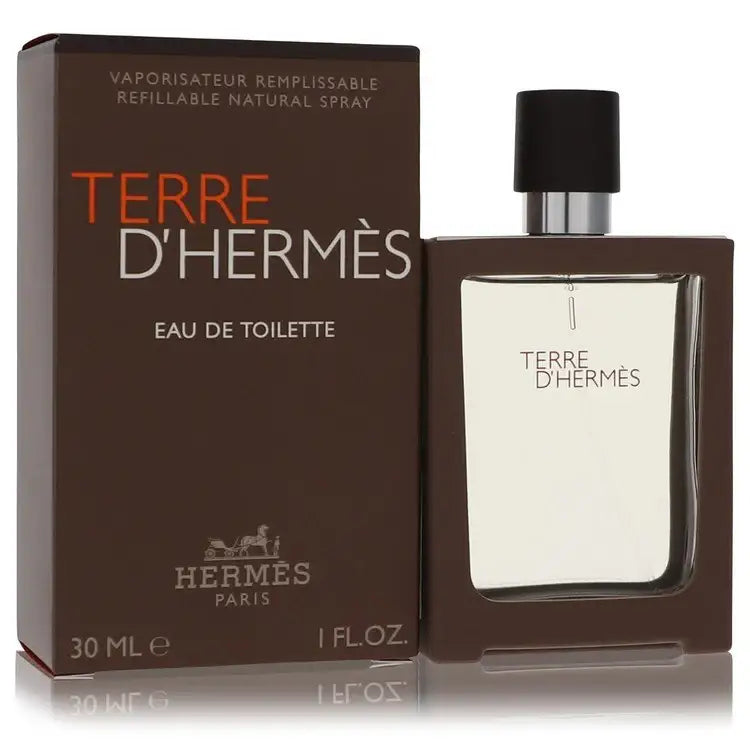 Terre D'hermes By Hermes Cologne for Men - Renee Lane Company