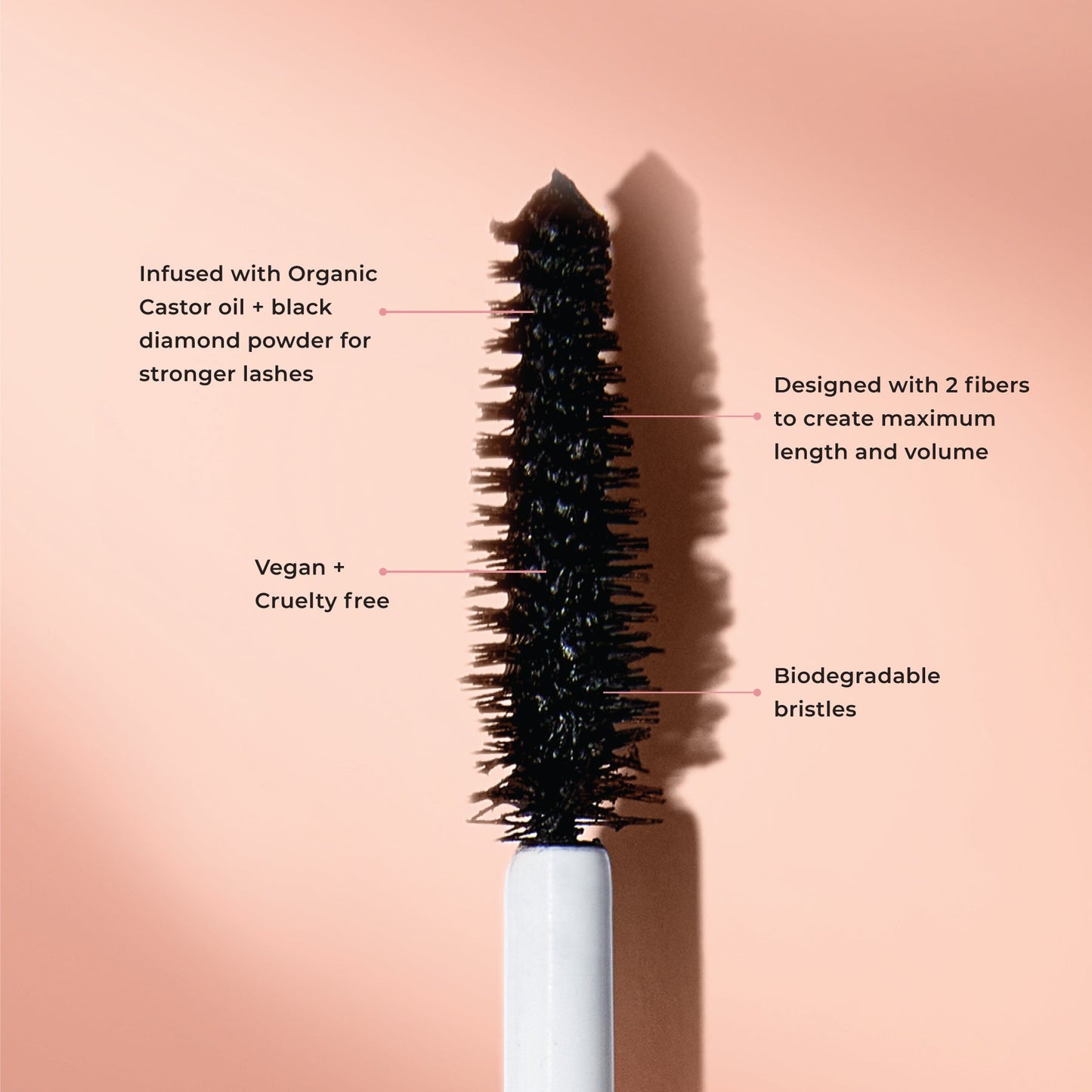 The Big Bang Mascara - Renee Lane Company