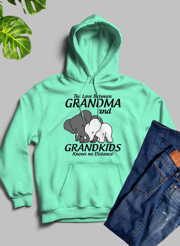 Mint green pullover hoodie with front print 'Grandma and Grandkids know no distance'