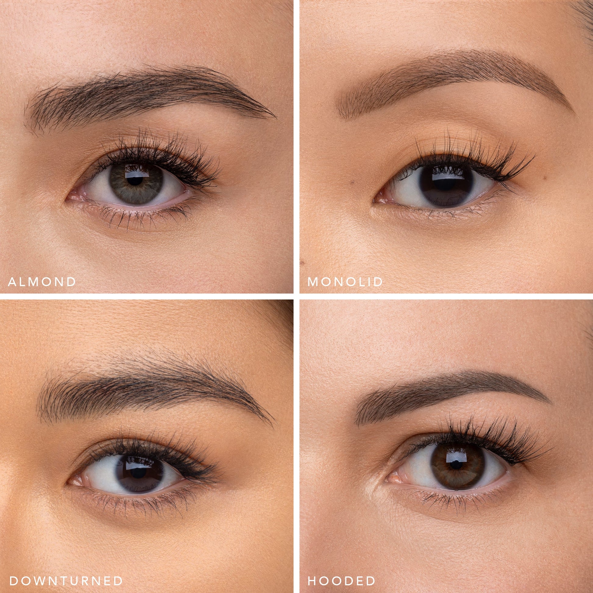 The Muse - Daily Lash Routine Set - Renee Lane Company