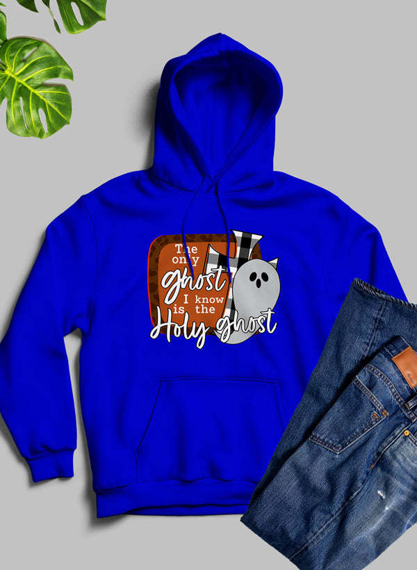 The Only Ghost I Know Hoodie - Renee Lane Company