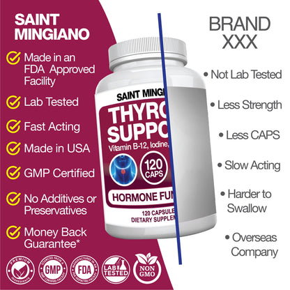 Thyroid Support Supplement with Iodine |120 Capsules to Help Body Mass & Improve Energy - Renee Lane Company