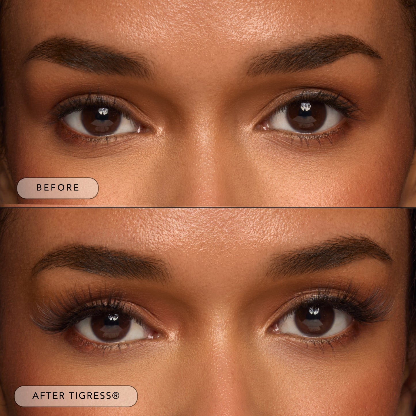 Tigress® - Renee Lane Company