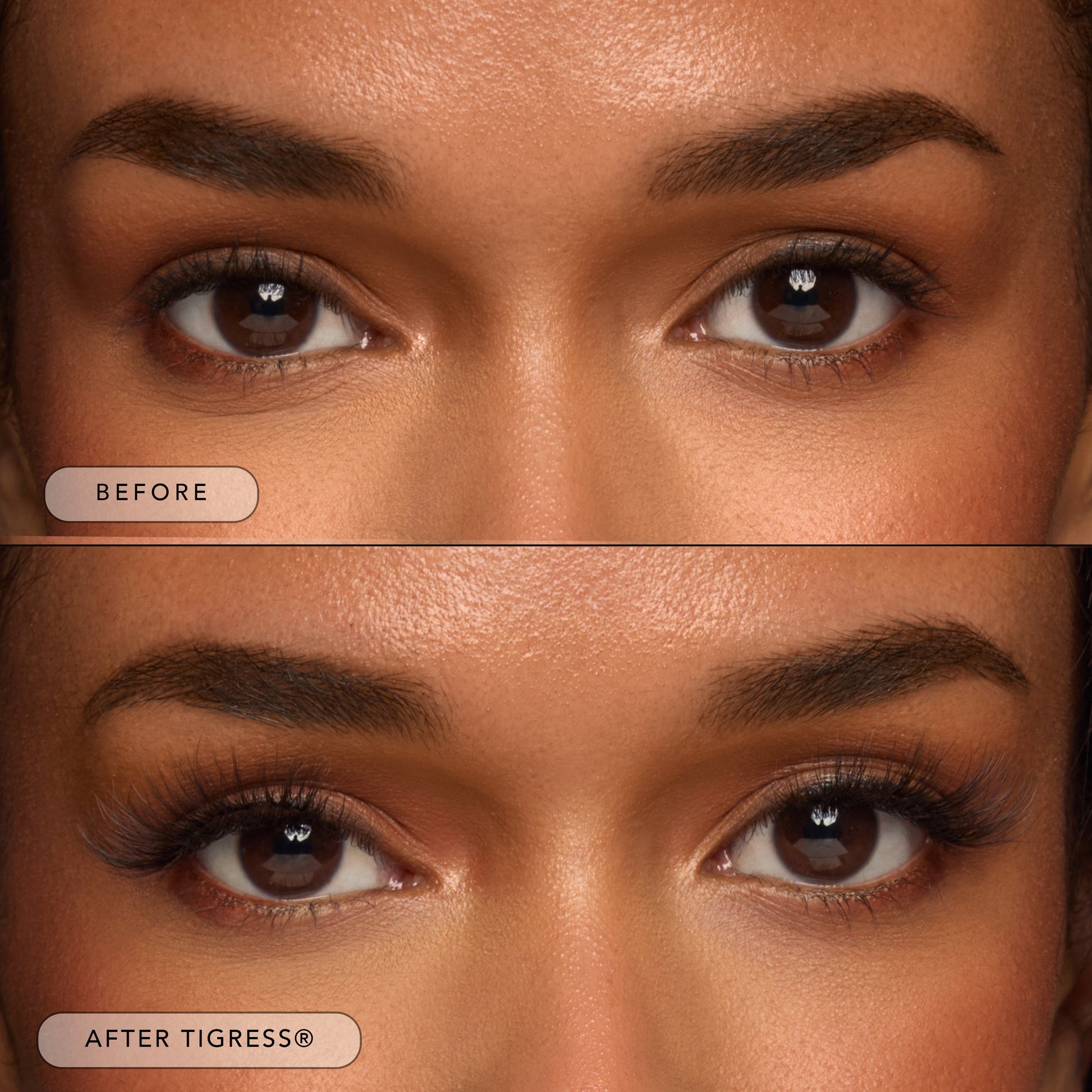 Tigress® - Renee Lane Company