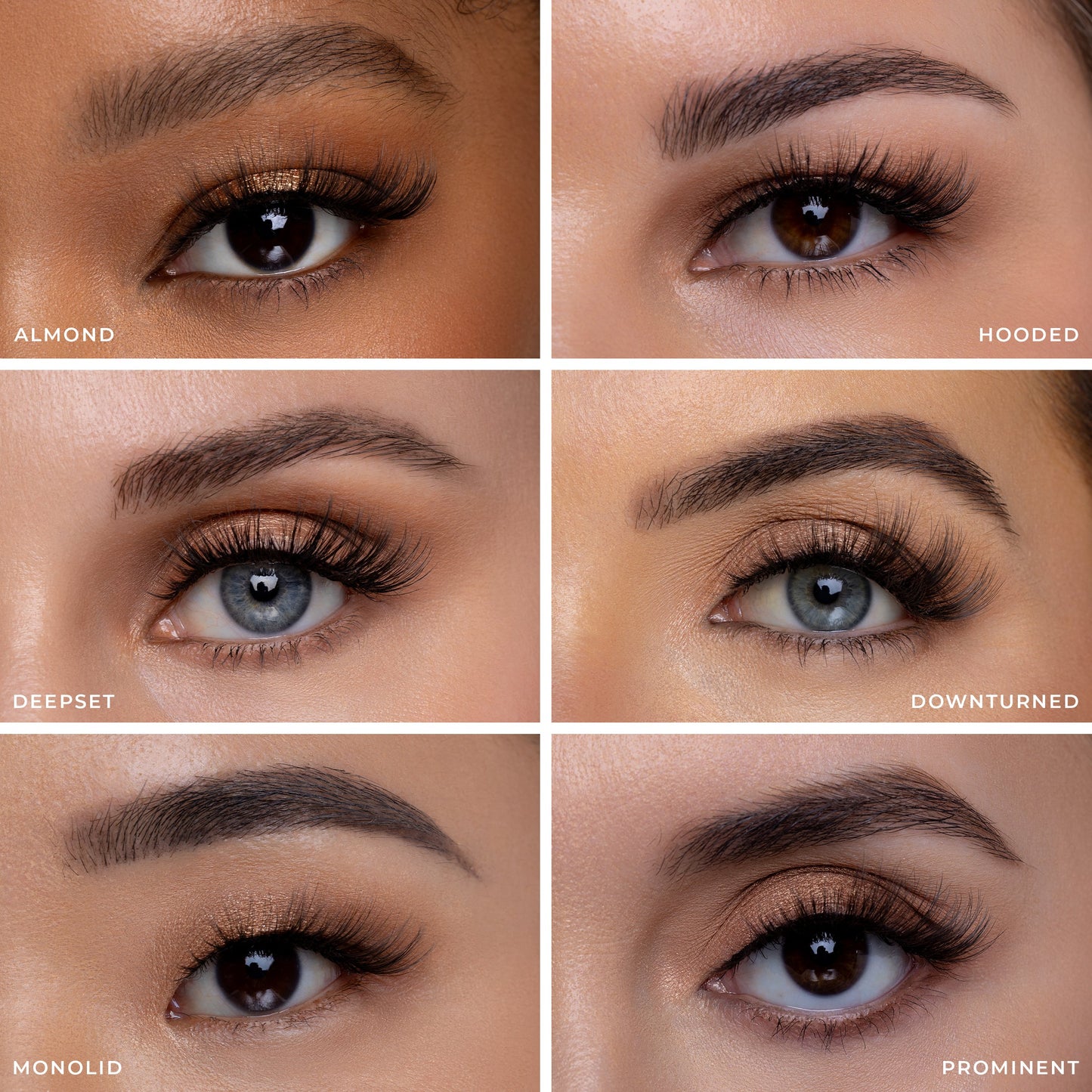 Tigress® - Renee Lane Company