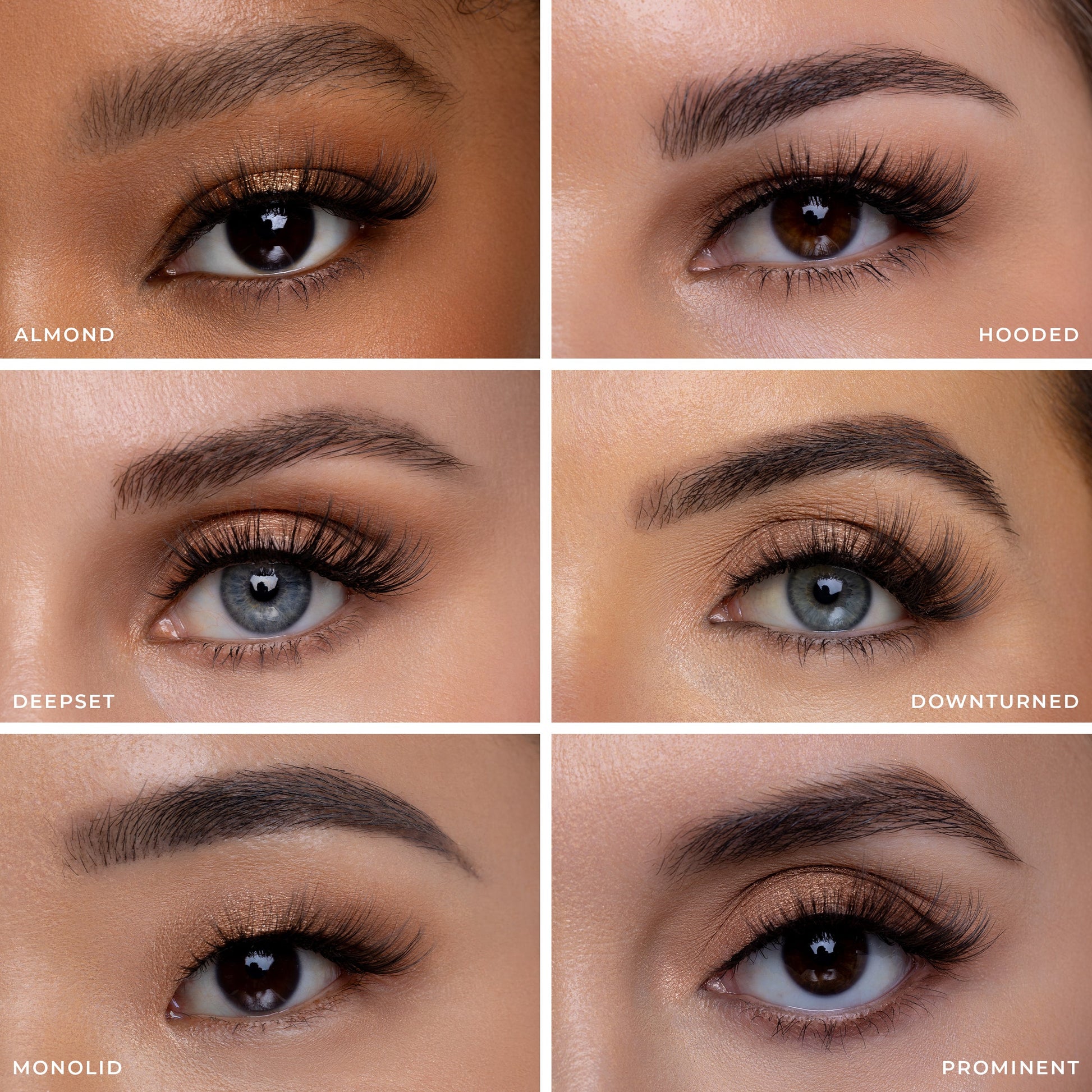 Tigress® - Renee Lane Company
