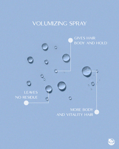 Top Care Volume Up Volumizing Spray - For Fine & Thin Hair - Renee Lane Company