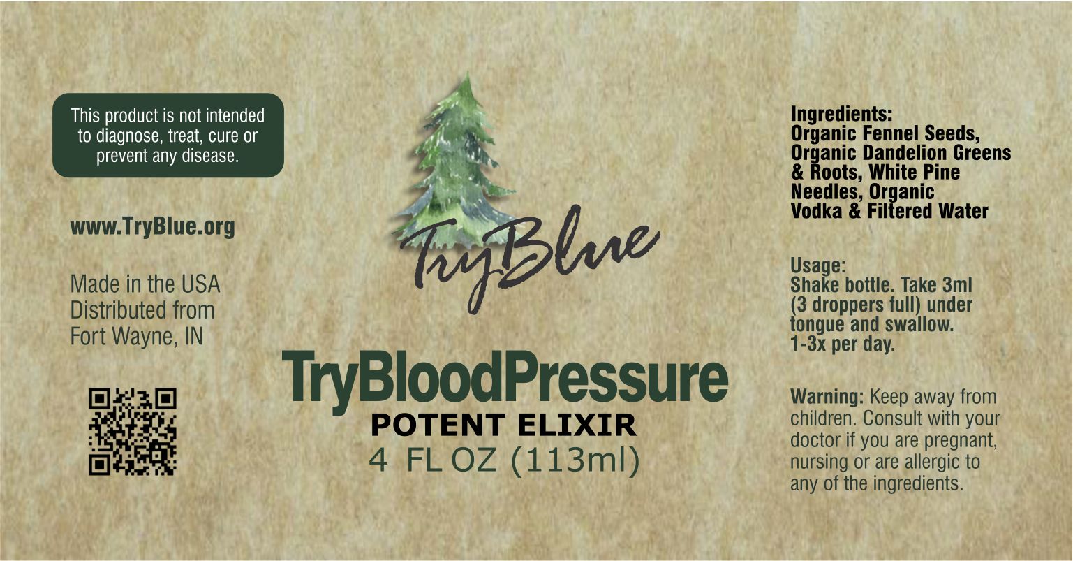 TryBloodPressure Potent Elixir Mix - Renee Lane Company