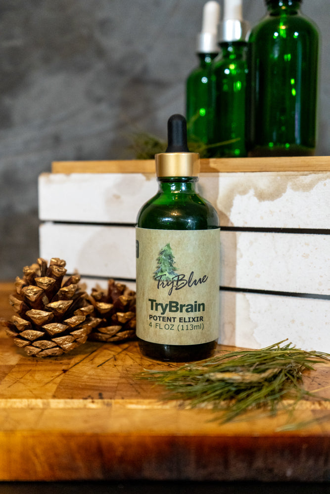 TryBrain Potent Elixir Mix - Renee Lane Company