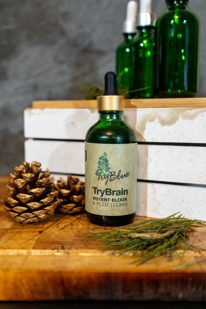 TryBrain Potent Elixir Mix - Renee Lane Company