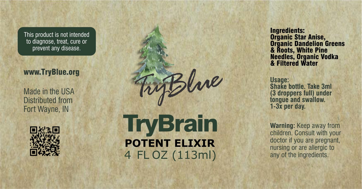 TryBrain Potent Elixir Mix - Renee Lane Company