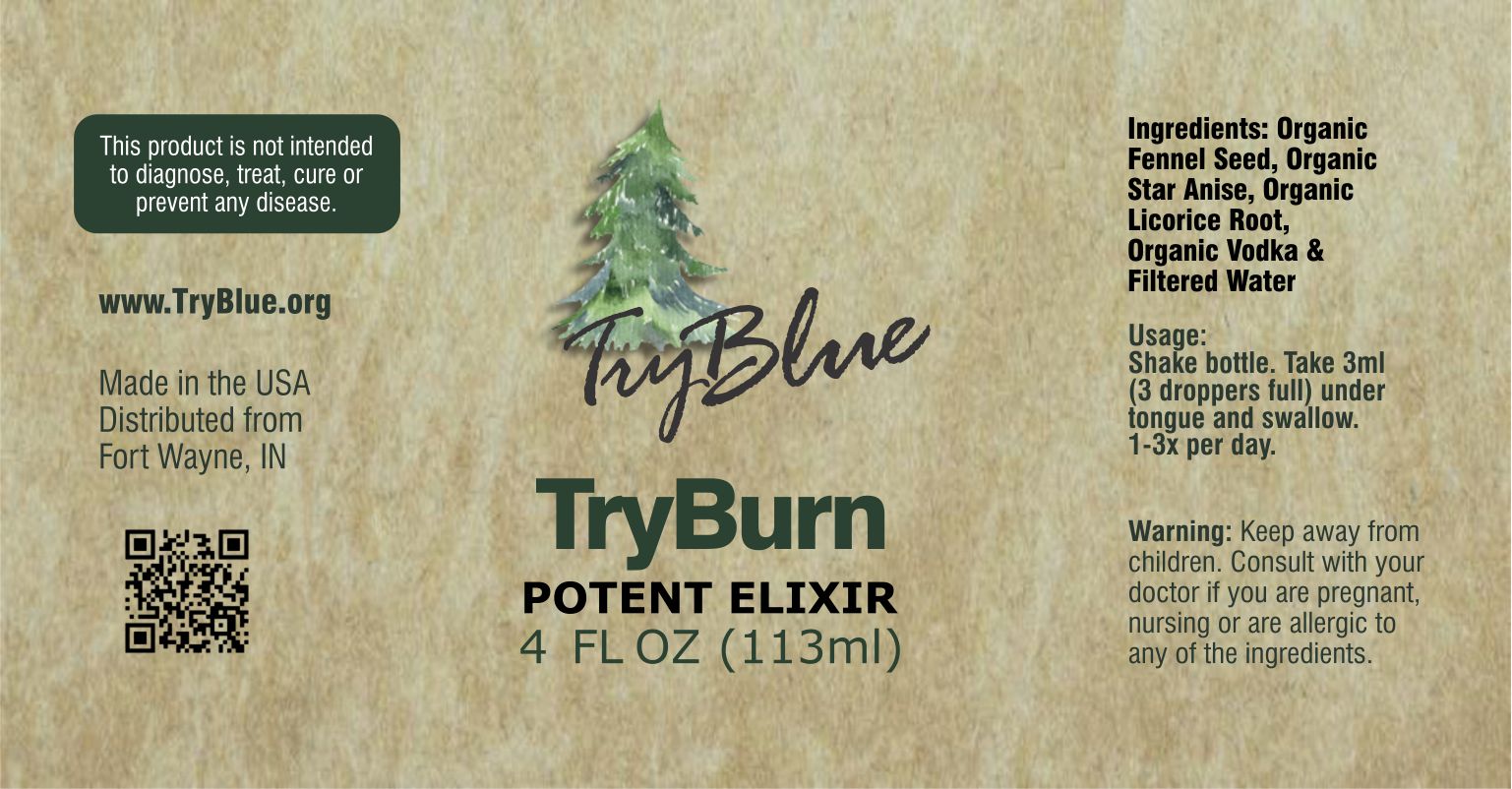 TryBurn Potent Elixir Mix - Renee Lane Company