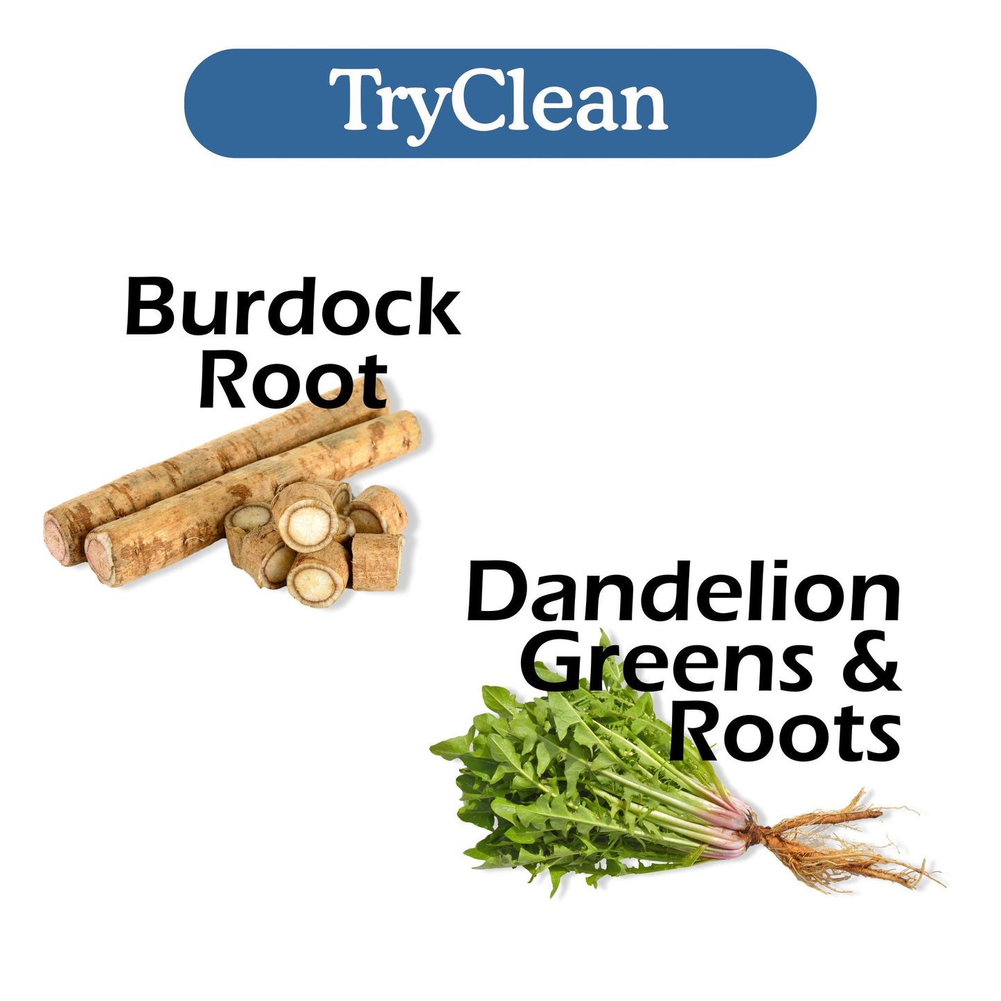 TryClean Bundle - Renee Lane Company