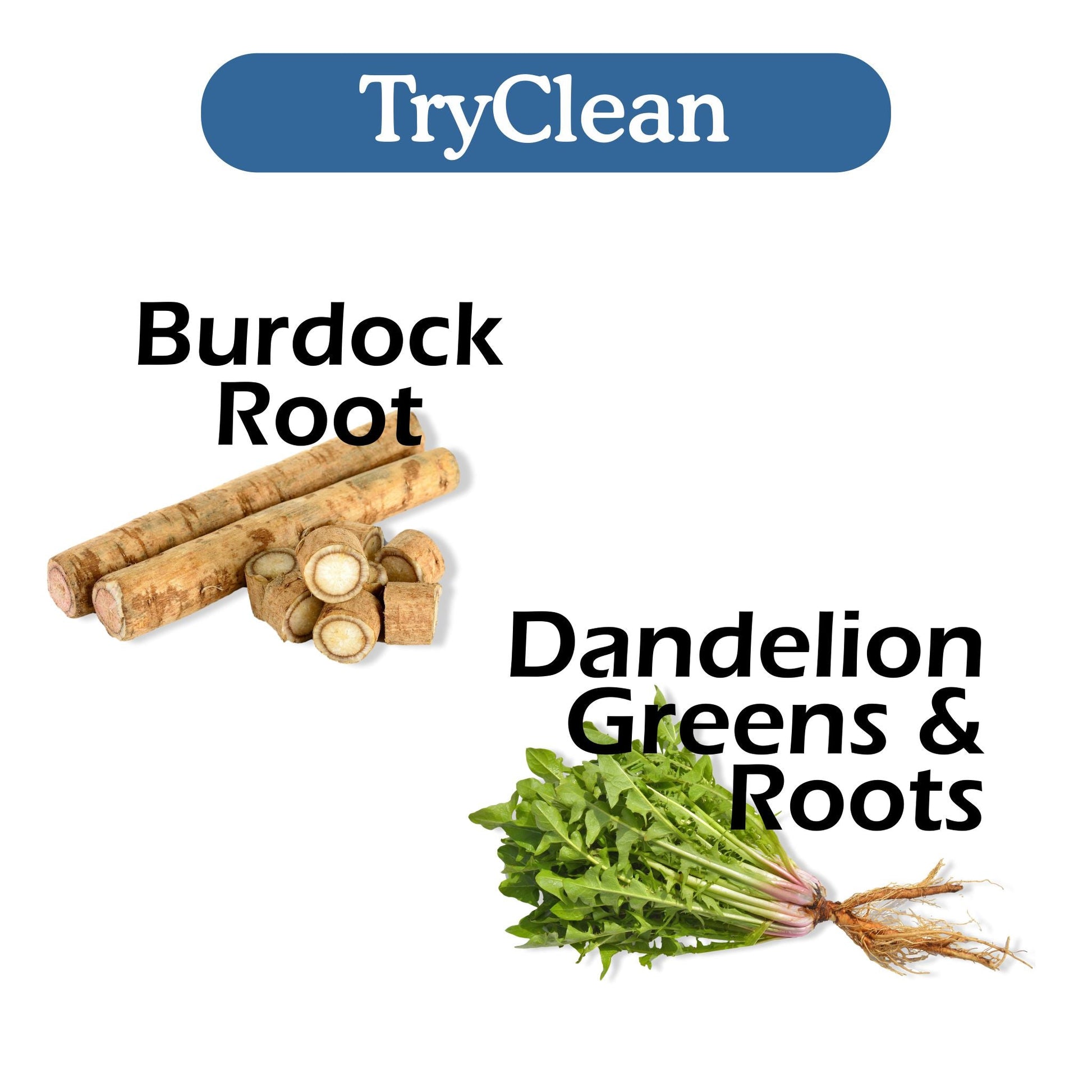 TryClean Bundle - Renee Lane Company