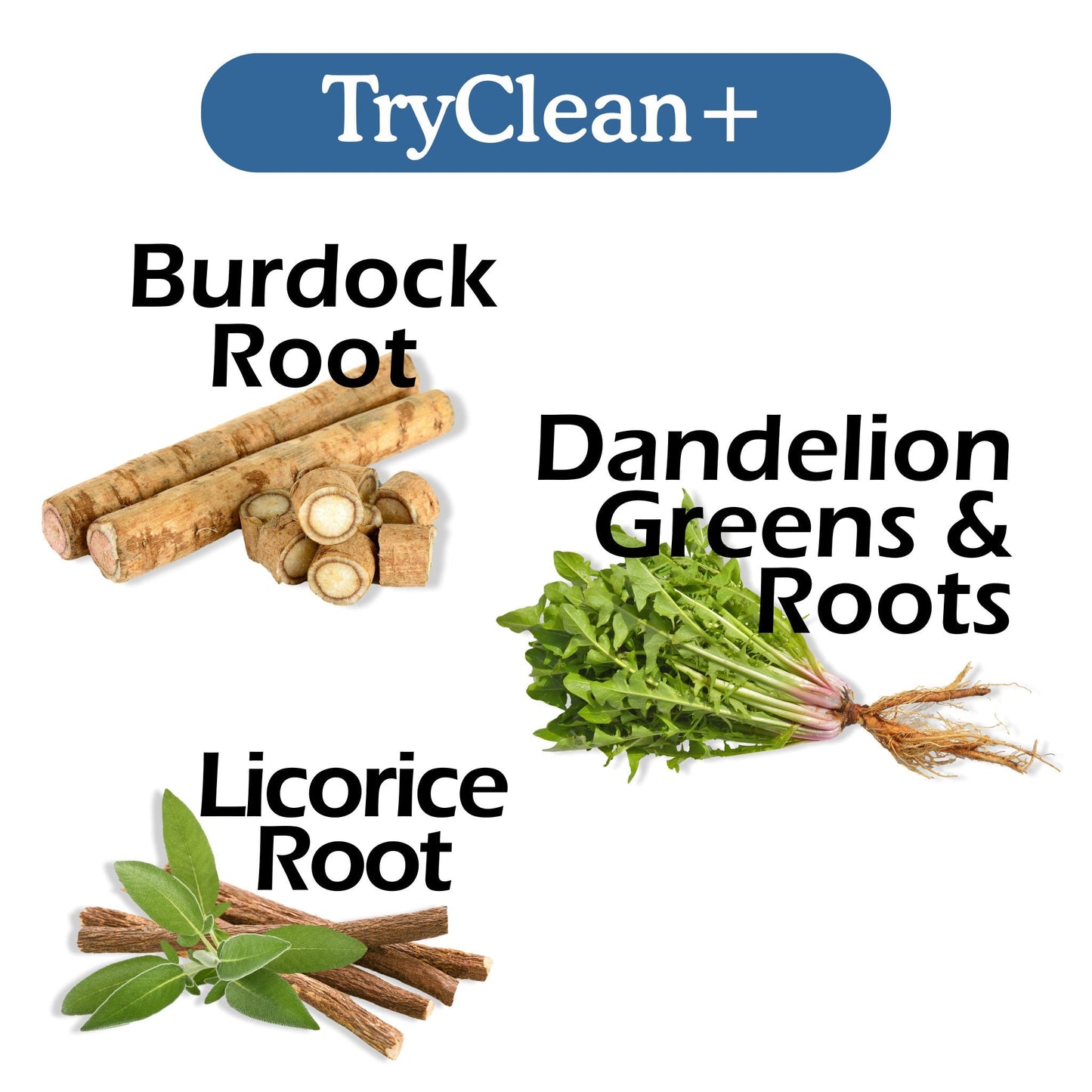 TryClean Plus Bundle - Renee Lane Company