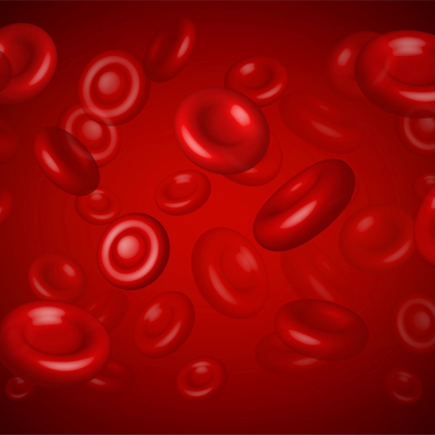 TryClean Plus Bundle - Renee Lane Company
