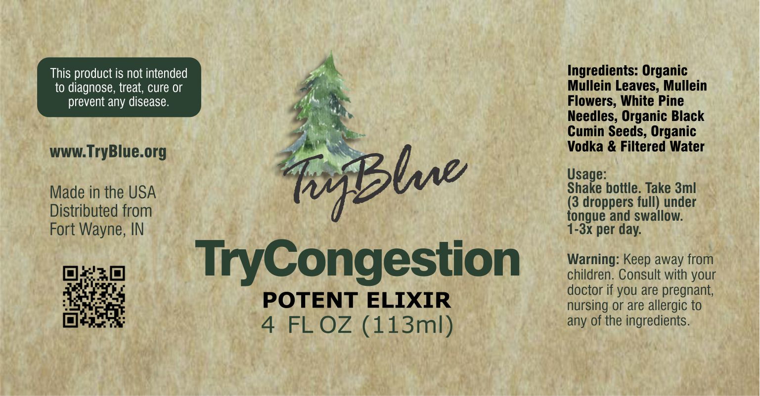 TryCongestion Potent Elixir Mix - Renee Lane Company