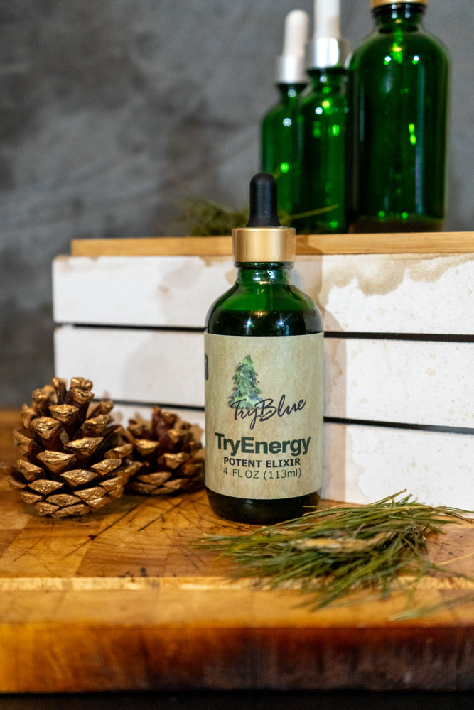 TryEnergy Potent Elixir Mix - Renee Lane Company