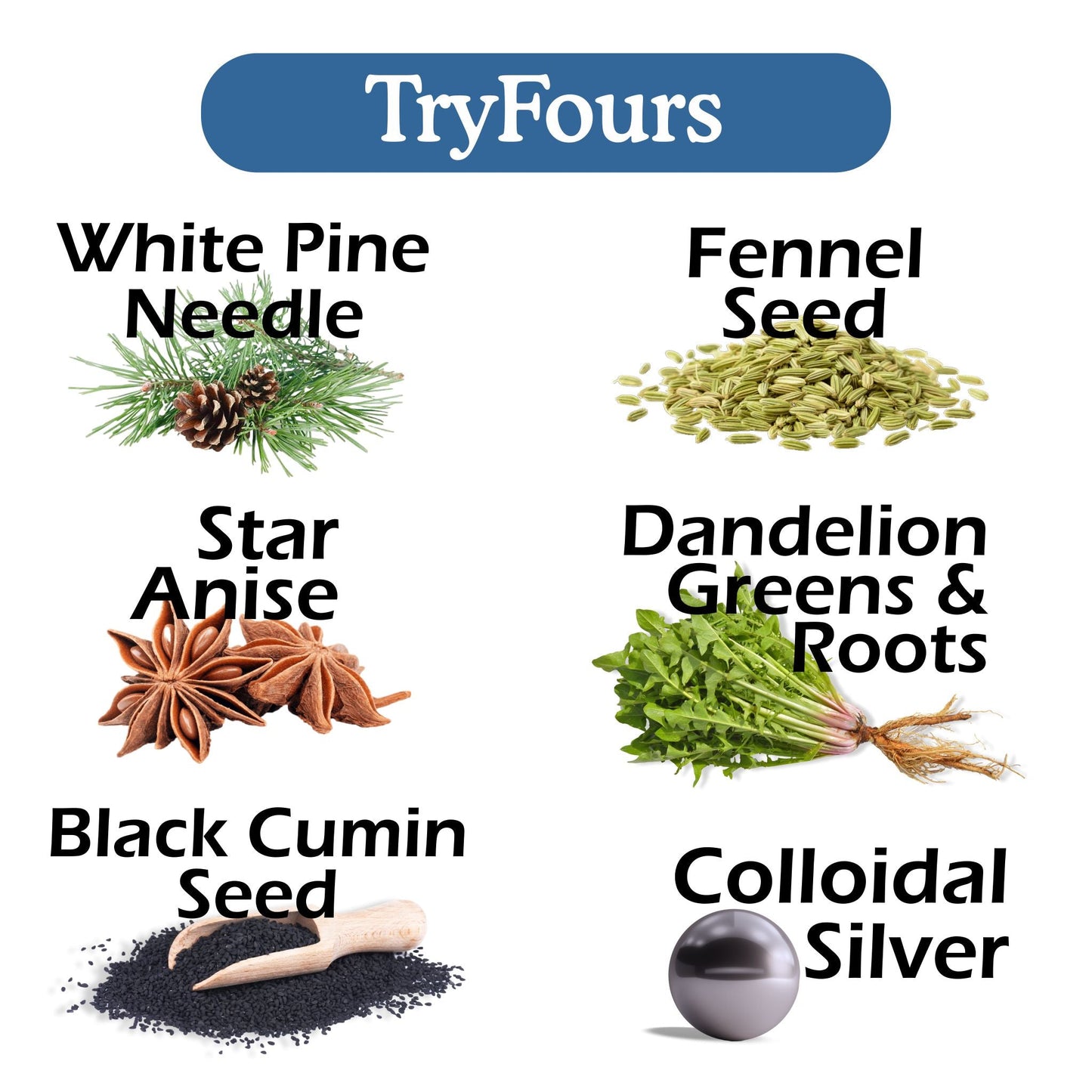 TryFours Bundle - Renee Lane Company