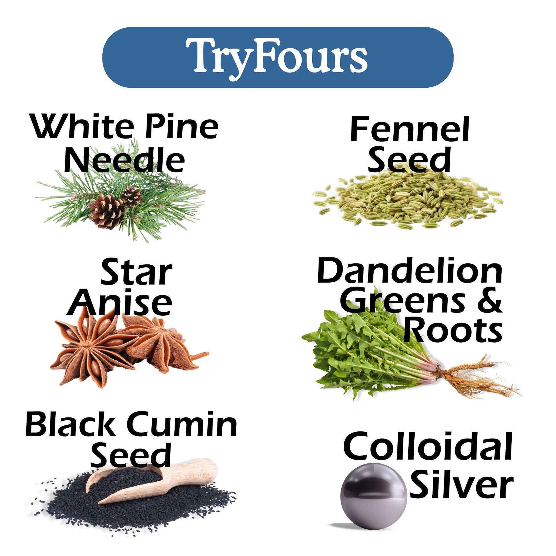 TryFours Bundle - Renee Lane Company
