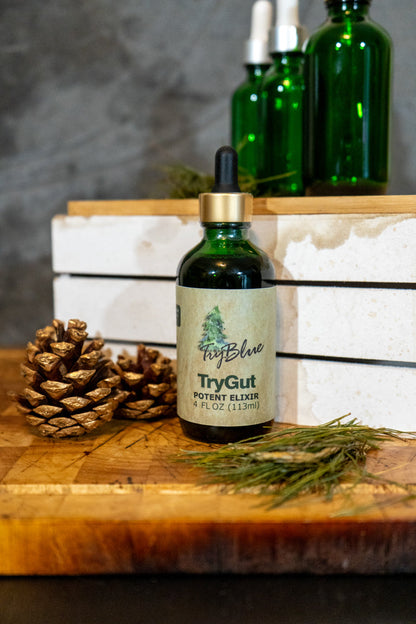 TryGut Potent Elixir Mix - Renee Lane Company