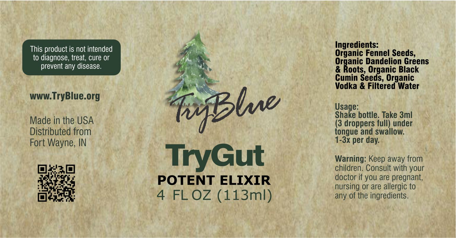 TryGut Potent Elixir Mix - Renee Lane Company