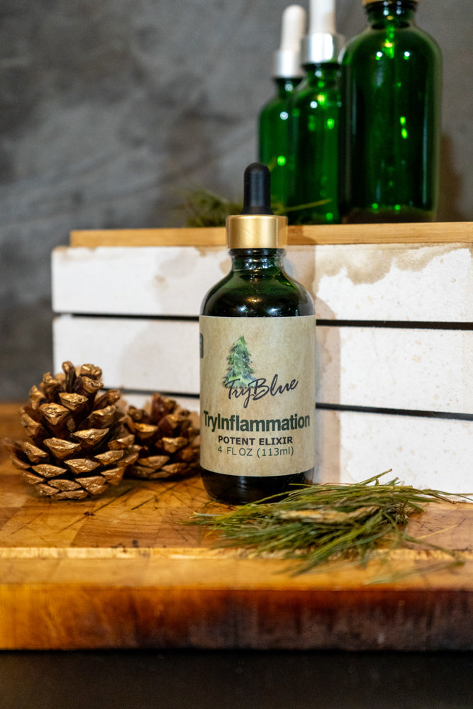 TryInflammation Potent Elixir Mix - Renee Lane Company