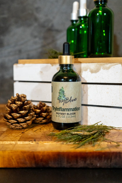 TryInflammation Potent Elixir Mix - Renee Lane Company