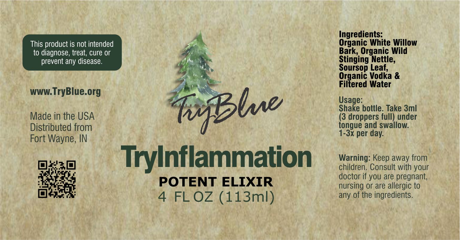 TryInflammation Potent Elixir Mix - Renee Lane Company