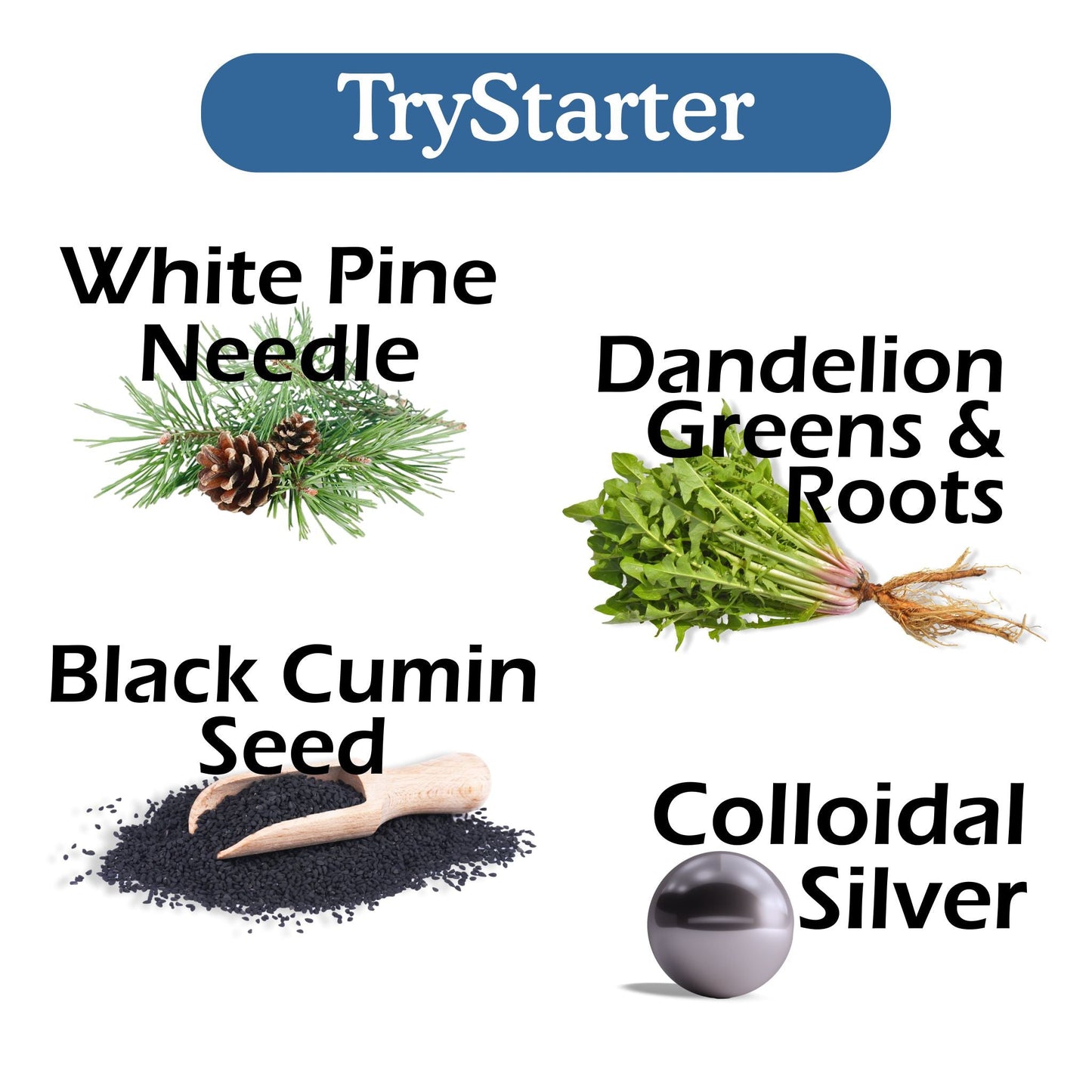 TryStarter Bundle - Renee Lane Company