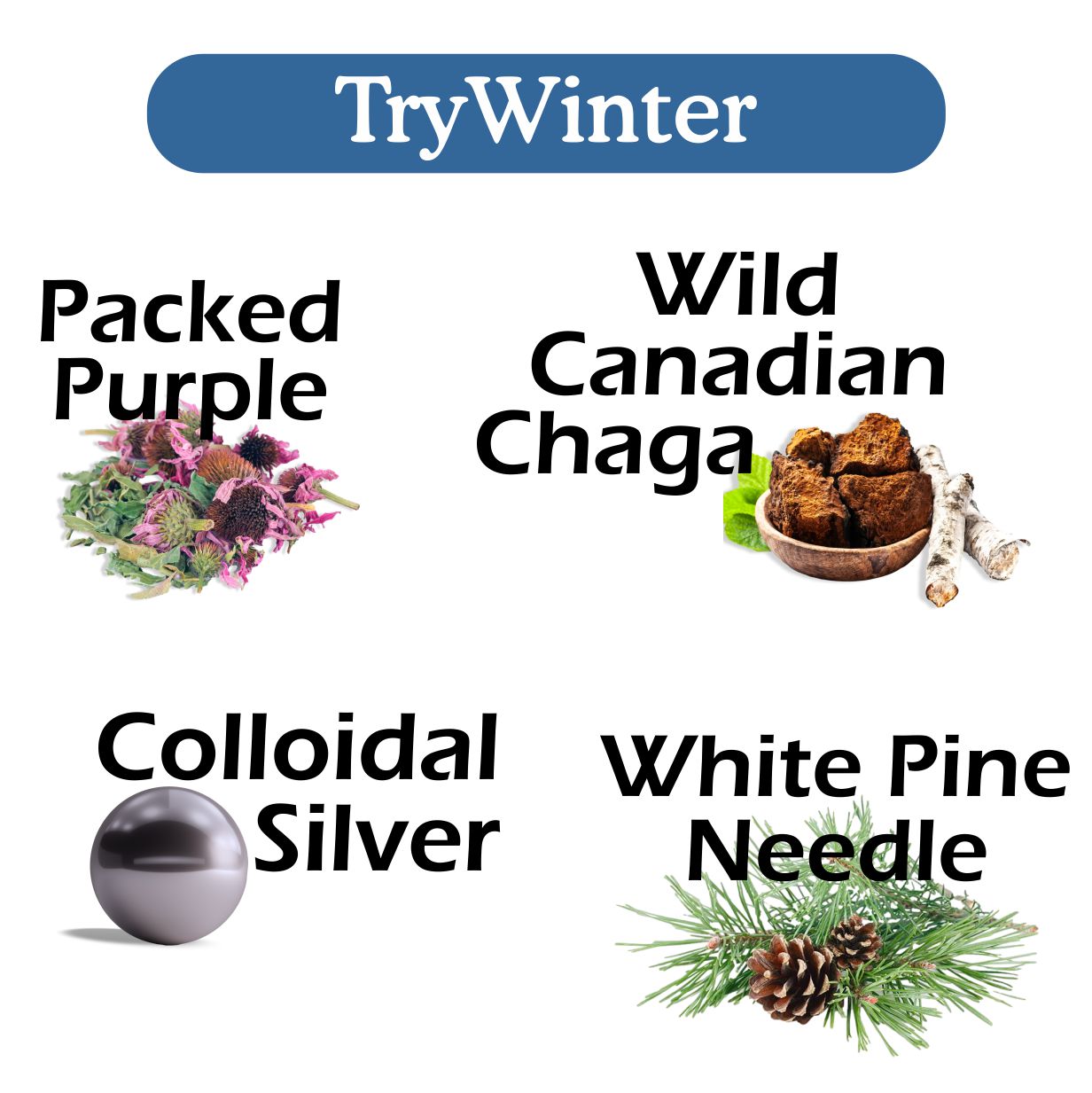 TryWinter Bundle - Renee Lane Company