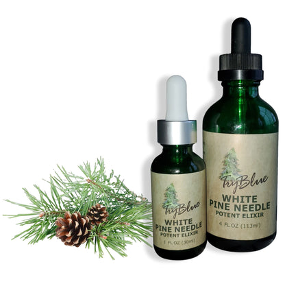 TryWinter Bundle - Renee Lane Company