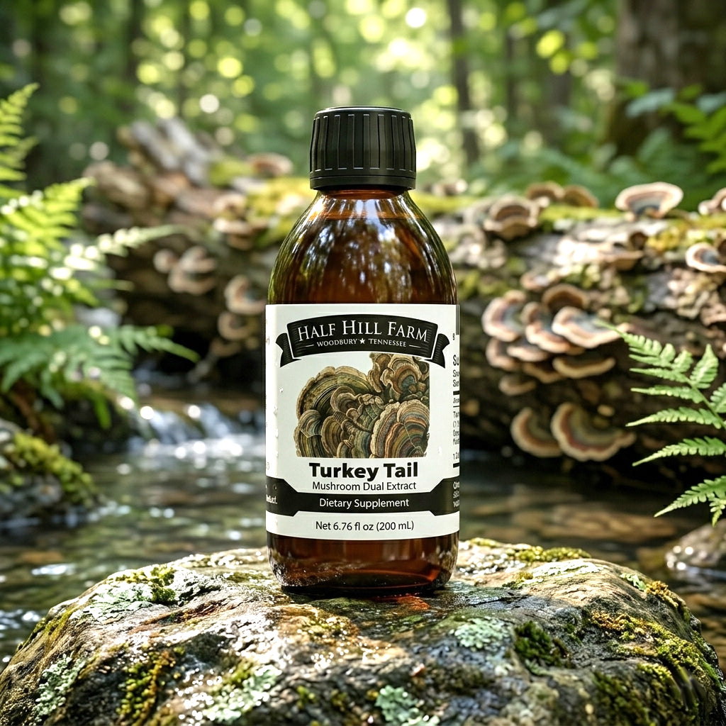 Turkey Tail Mushroom Dual Extract - Renee Lane Company