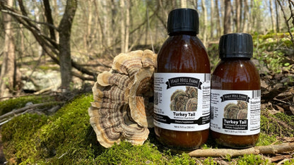 Turkey Tail Mushroom Dual Extract - Renee Lane Company