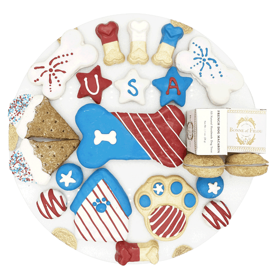 USA Themed Dog Treats Gift Box - Renee Lane Company