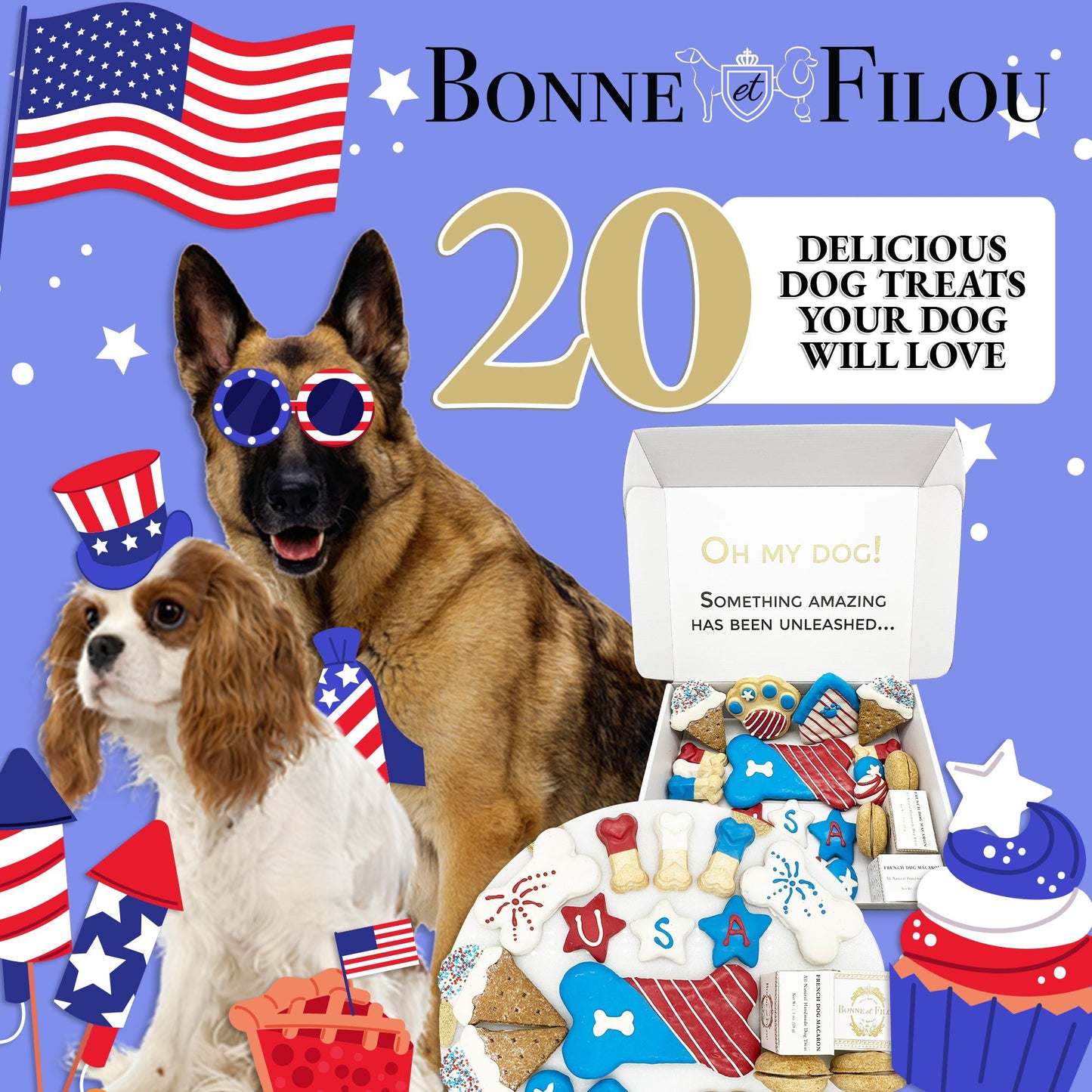 USA Themed Dog Treats Gift Box - Renee Lane Company