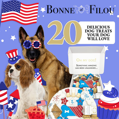 USA Themed Dog Treats Gift Box - Renee Lane Company