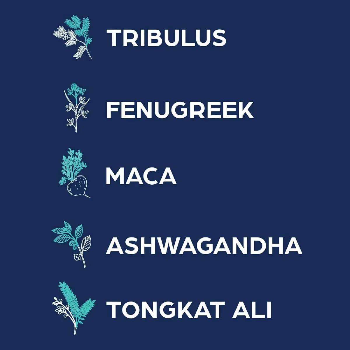 Dietary supplement ingredient graphic: tribulus, fenugreek, maca, ashwagandha, tongkat ali