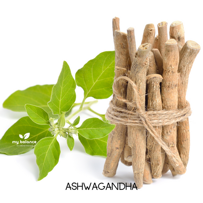 Ashwagandha root bundle tied with twine beside fresh green leaves