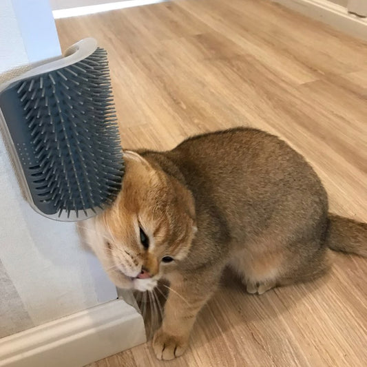 Corner pet self-groomer brush with gray bristles, mounted to a wall corner.