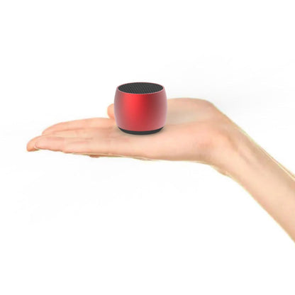 Volto Big Sound Mini Speaker + FM Radio And MP3 Player - Renee Lane Company