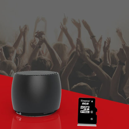 Volto Big Sound Mini Speaker + FM Radio And MP3 Player - Renee Lane Company