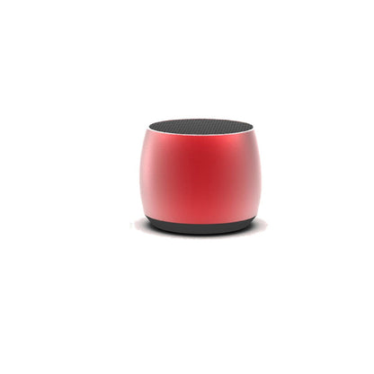 Volto Big Sound Mini Speaker + FM Radio And MP3 Player - Renee Lane Company