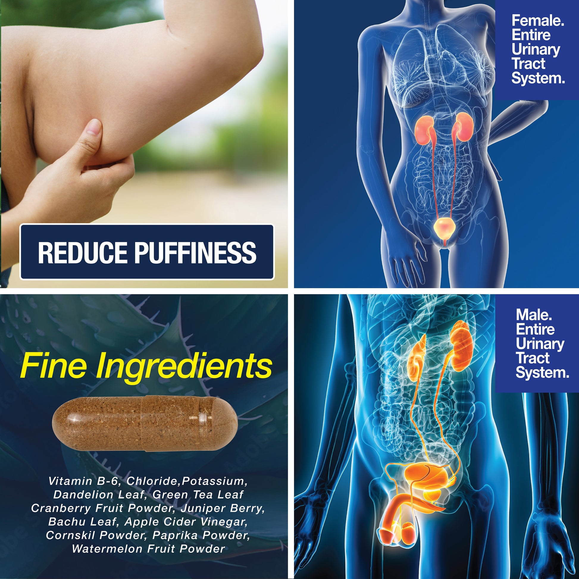 Water Away - Water Retention and Flushing, Aids in Water Relief & Water Loss - Renee Lane Company