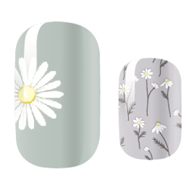 White Daisy Days - Renee Lane Company