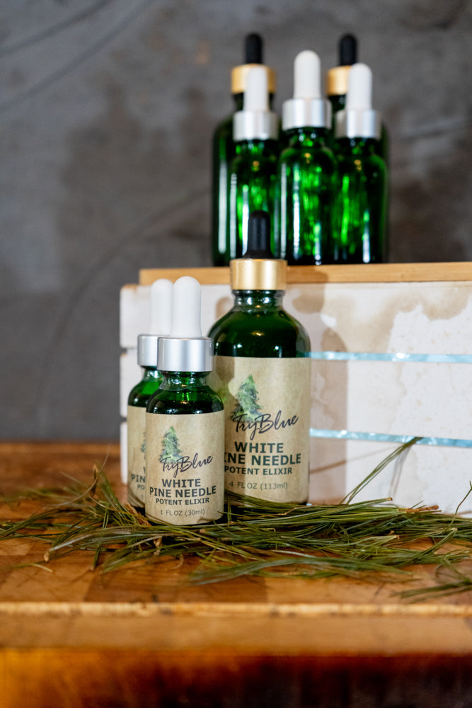 White Pine Needle Elixir - Renee Lane Company