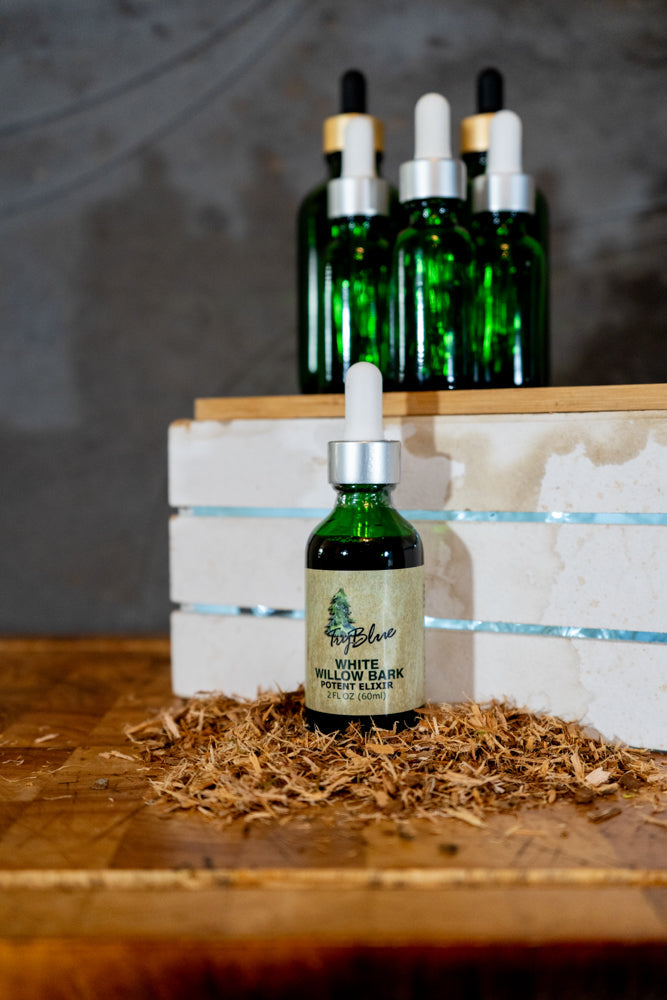 White Willow Bark Elixir - Renee Lane Company