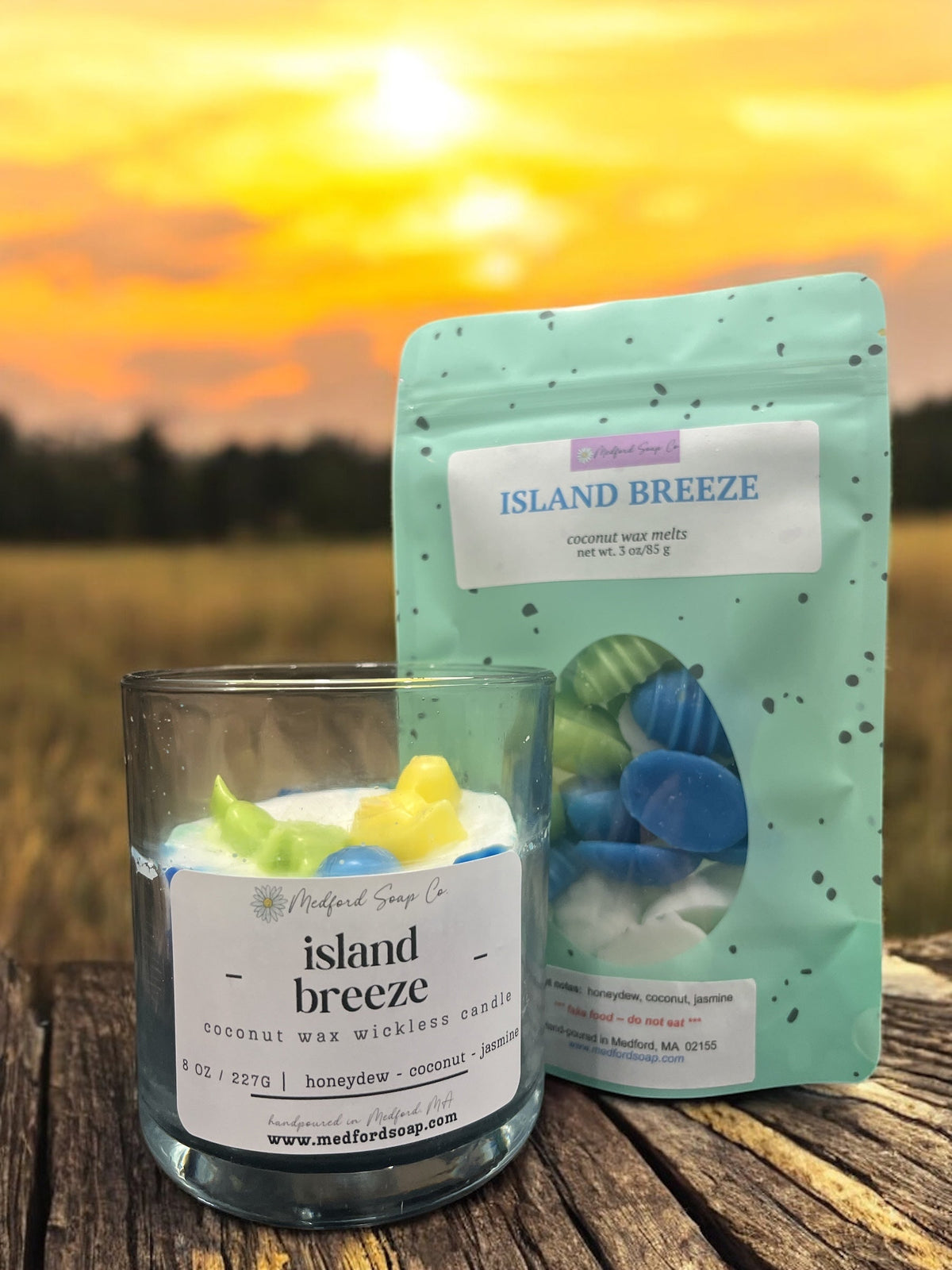Island Breeze scented wax wickless candle in glass jar with wax melt cups