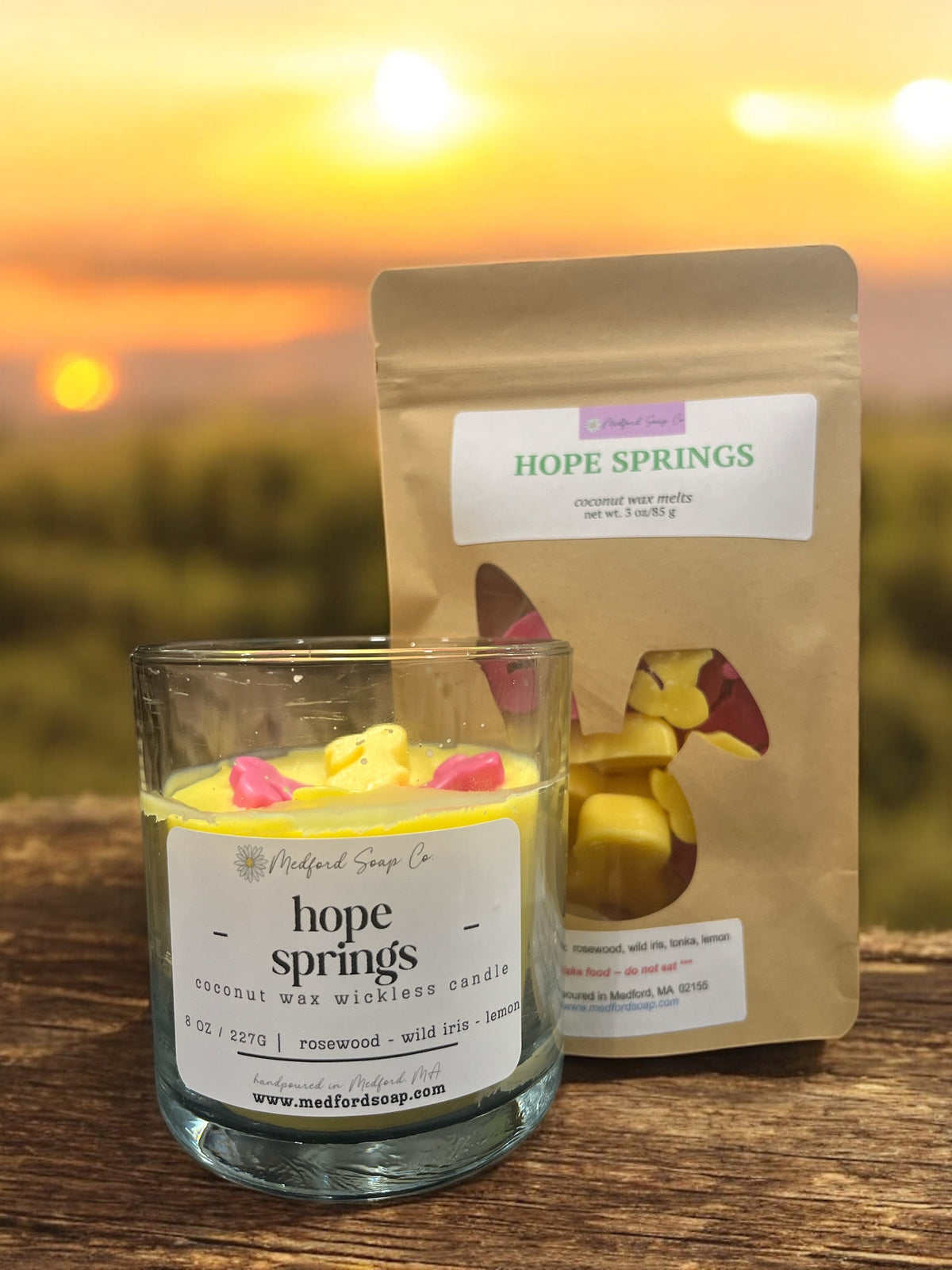 Hope Springs scented wax wickless candle in glass jar with wax melt cups