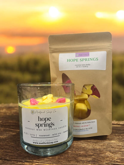 Wickless Candles & Wax Melt Cups - Renee Lane Company